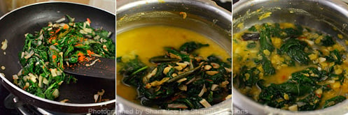 Dal Palak Recipe - Sharmis Passions